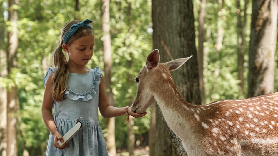 Wildparadies Tripsdrill