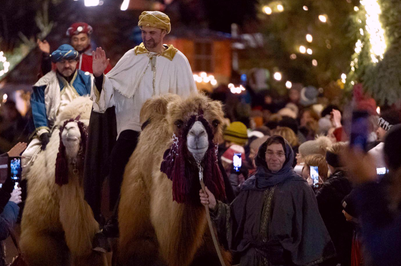 Kamele beim Erlebnis-Weihnachtsmarkt Bad Hindelang 
