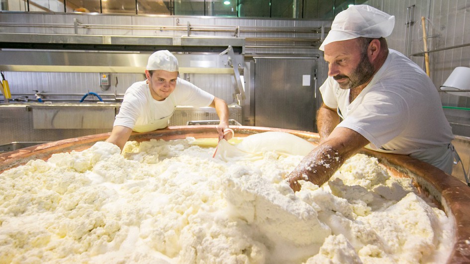 ErlebnisSennerei Zillertal