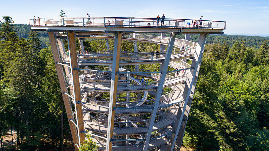 Baumwipfelpfad_Schwarzwald