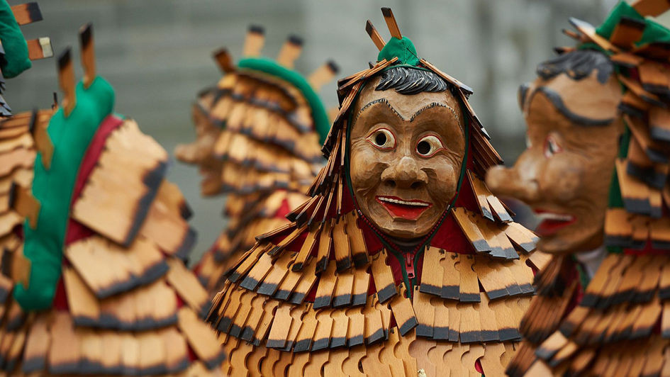 Narrenreise im Radolfzell