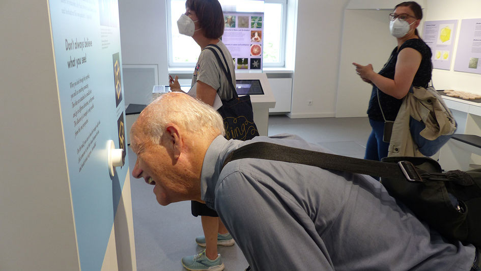 Das kann doch nicht sein!