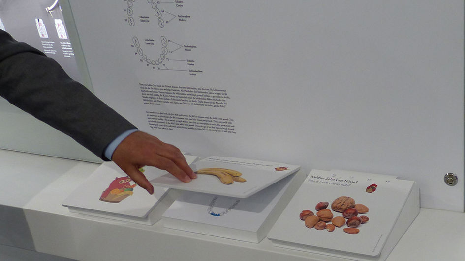 Mitdenken und das eigene Wissen überprüfen