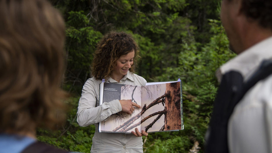 Rangerführung im Nationalpark Schwarzwald