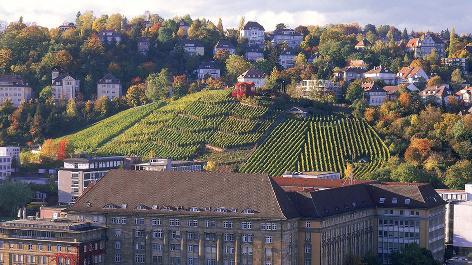 Wein und Genuss in Stuttgart