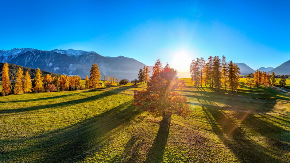 brennende_laerchen-mieminger_plateau-copyright-innsbruck_tourismus-ashley_wiggins
