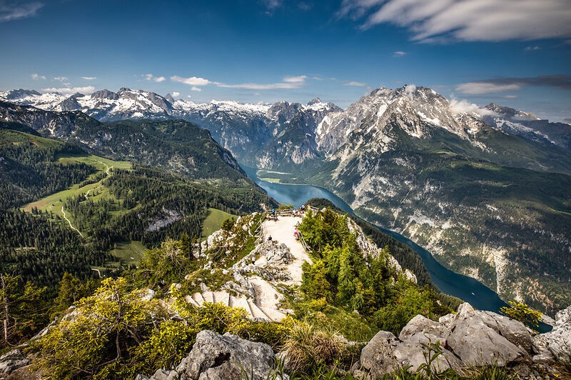 Jenner Königsblick