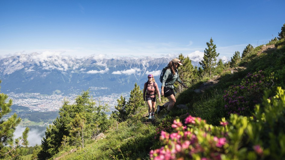 patscherkofel_almrosen-innsbruck-copyright-innsbruck_tourismus-eye5_jonas_schwarzwaelder