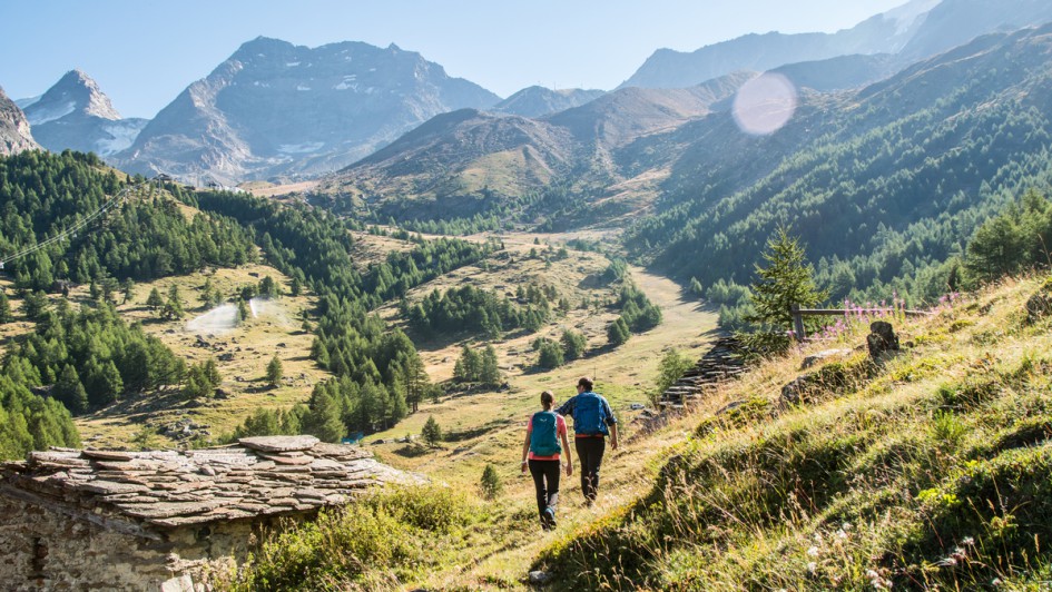 Wandern-Triftalp-Sommer2020-0037