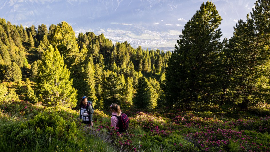 Innsbruck tourismus Bild 2 