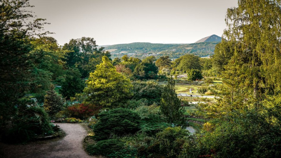 Europa-Rosarium (c) Couchflucht, S.Bechtold