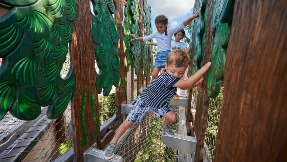 PMK Rogla_action_summer_94@zak